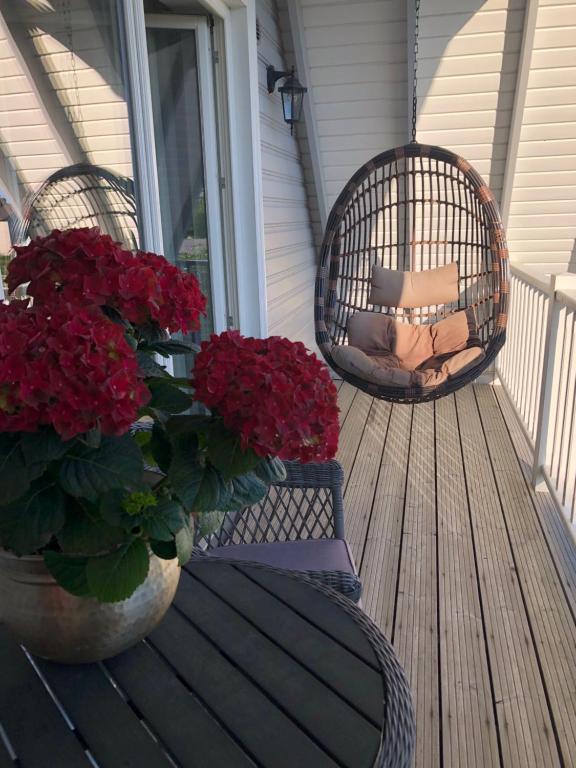 3 rooms – gardern view 2