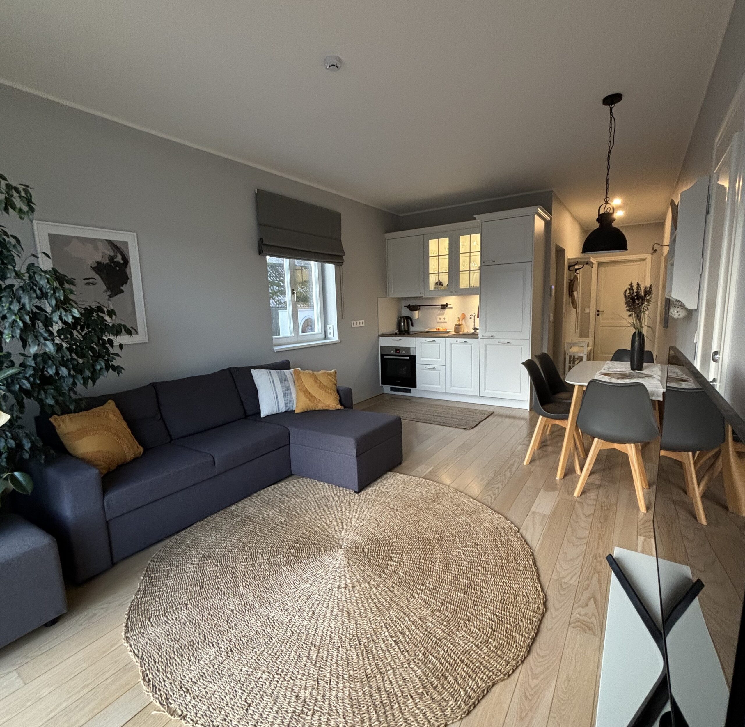 2 rooms – Elutuba (1)